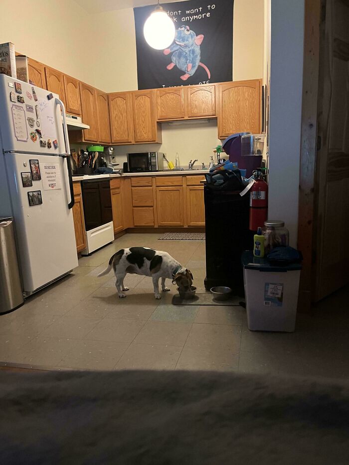 ‘When You See It’: 111 Perfectly Camouflaged Things That Might Take You Ages To Find (New Pics) ‘When You See It’: 111 Perfectly Camouflaged Things That Might Take You Ages To Find (New Pics)