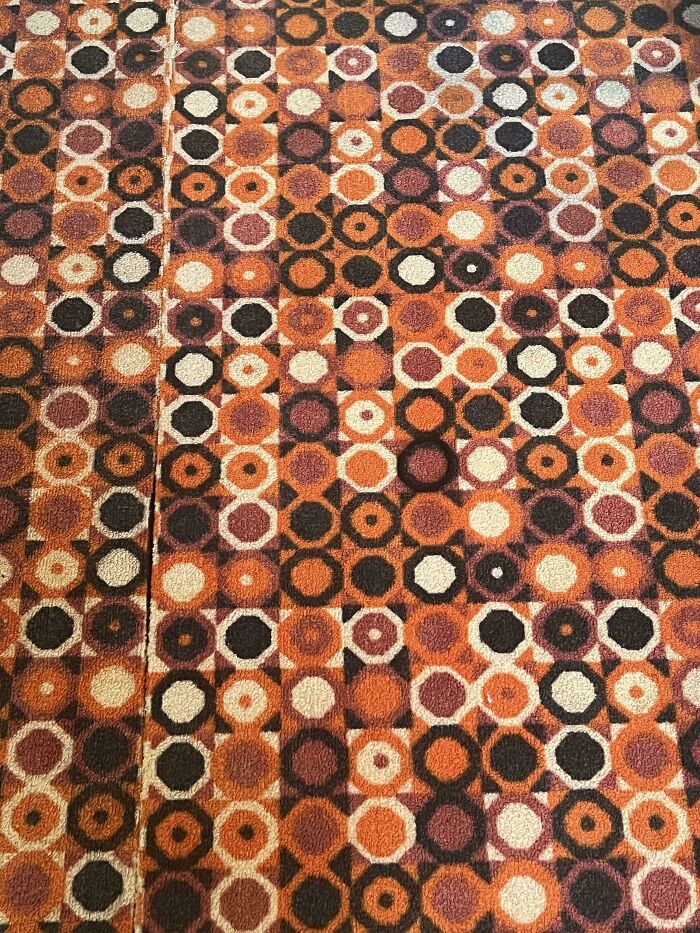 ‘When You See It’: 111 Perfectly Camouflaged Things That Might Take You Ages To Find (New Pics) ‘When You See It’: 111 Perfectly Camouflaged Things That Might Take You Ages To Find (New Pics)