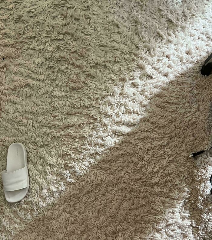 ‘When You See It’: 111 Perfectly Camouflaged Things That Might Take You Ages To Find (New Pics) ‘When You See It’: 111 Perfectly Camouflaged Things That Might Take You Ages To Find (New Pics)