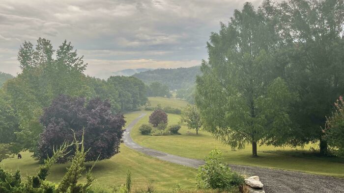 ‘When You See It’: 111 Perfectly Camouflaged Things That Might Take You Ages To Find (New Pics) ‘When You See It’: 111 Perfectly Camouflaged Things That Might Take You Ages To Find (New Pics)