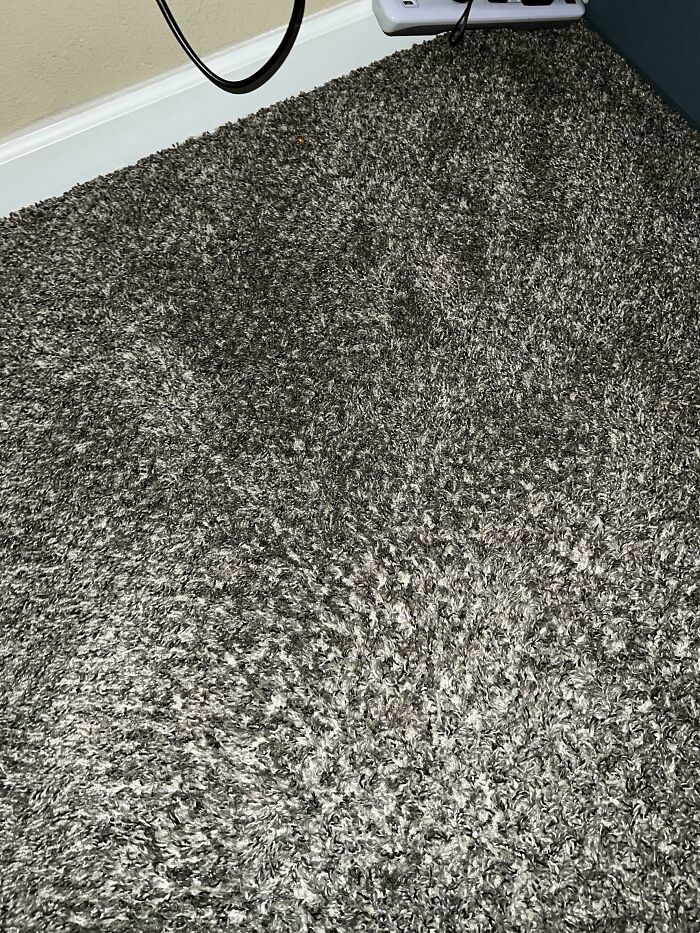 ‘When You See It’: 111 Perfectly Camouflaged Things That Might Take You Ages To Find (New Pics) ‘When You See It’: 111 Perfectly Camouflaged Things That Might Take You Ages To Find (New Pics)