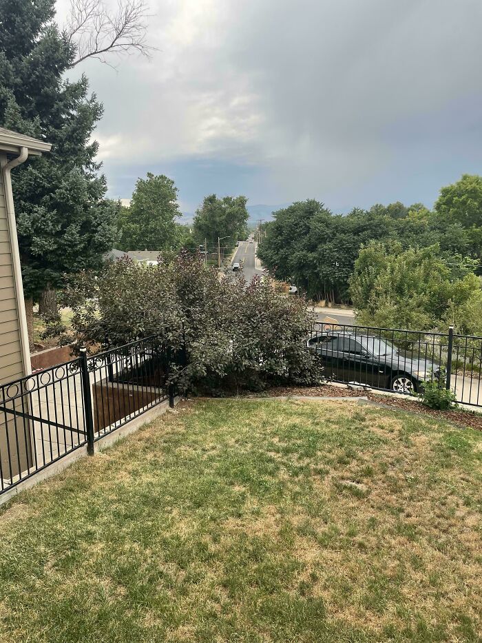 ‘When You See It’: 111 Perfectly Camouflaged Things That Might Take You Ages To Find (New Pics) ‘When You See It’: 111 Perfectly Camouflaged Things That Might Take You Ages To Find (New Pics)