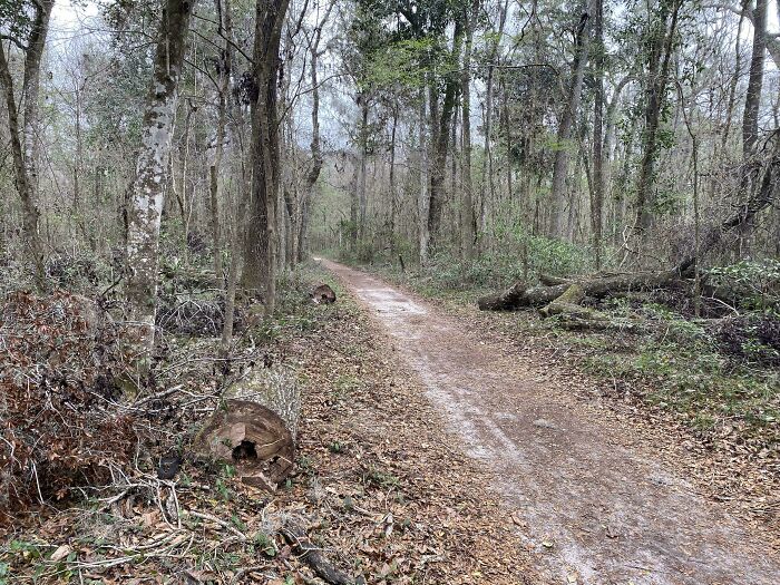 ‘When You See It’: 111 Perfectly Camouflaged Things That Might Take You Ages To Find (New Pics) ‘When You See It’: 111 Perfectly Camouflaged Things That Might Take You Ages To Find (New Pics)