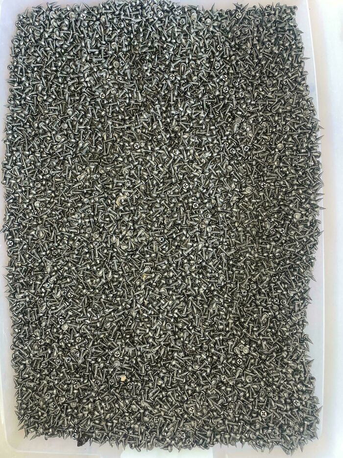 ‘When You See It’: 111 Perfectly Camouflaged Things That Might Take You Ages To Find (New Pics) ‘When You See It’: 111 Perfectly Camouflaged Things That Might Take You Ages To Find (New Pics)