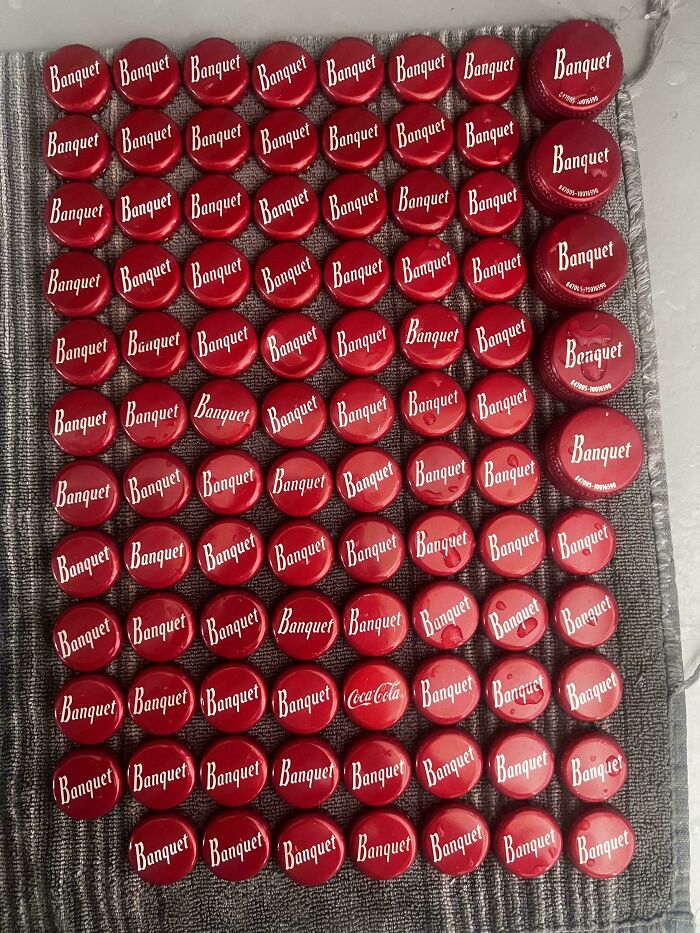 ‘When You See It’: 111 Perfectly Camouflaged Things That Might Take You Ages To Find (New Pics) ‘When You See It’: 111 Perfectly Camouflaged Things That Might Take You Ages To Find (New Pics)