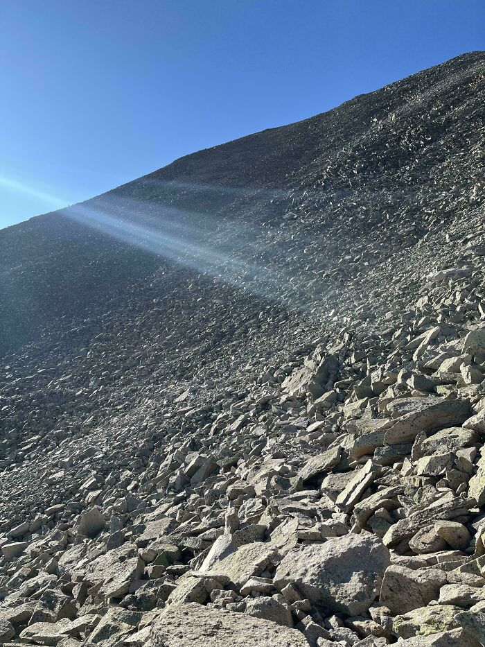 ‘When You See It’: 111 Perfectly Camouflaged Things That Might Take You Ages To Find (New Pics) ‘When You See It’: 111 Perfectly Camouflaged Things That Might Take You Ages To Find (New Pics)