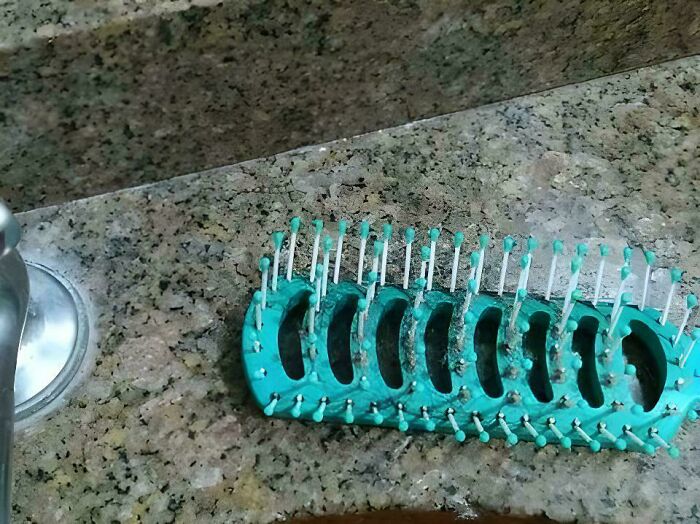 ‘When You See It’: 111 Perfectly Camouflaged Things That Might Take You Ages To Find (New Pics) ‘When You See It’: 111 Perfectly Camouflaged Things That Might Take You Ages To Find (New Pics)