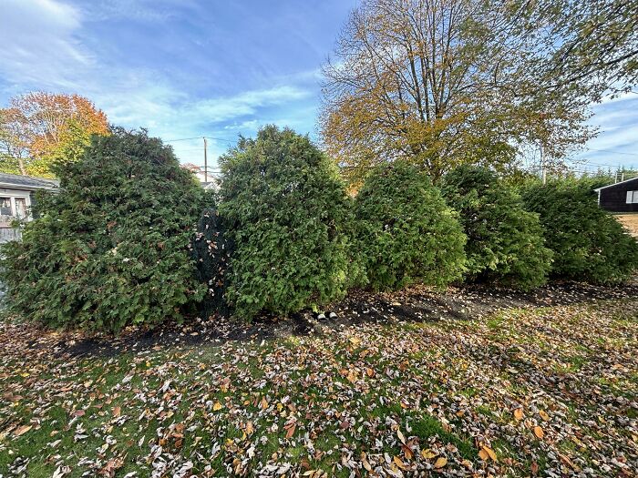 ‘When You See It’: 111 Perfectly Camouflaged Things That Might Take You Ages To Find (New Pics) ‘When You See It’: 111 Perfectly Camouflaged Things That Might Take You Ages To Find (New Pics)