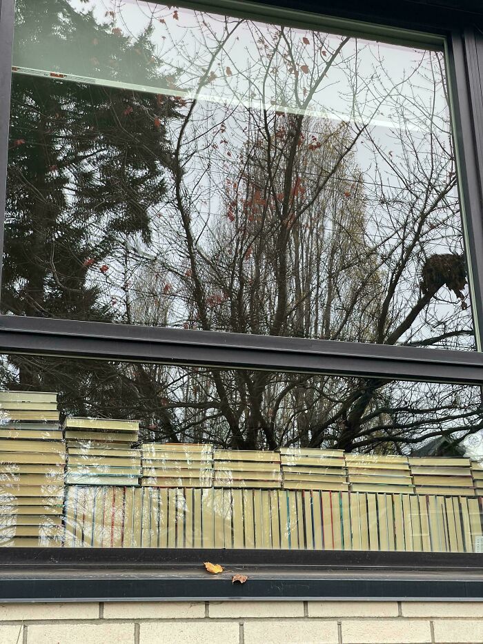 ‘When You See It’: 111 Perfectly Camouflaged Things That Might Take You Ages To Find (New Pics) ‘When You See It’: 111 Perfectly Camouflaged Things That Might Take You Ages To Find (New Pics)