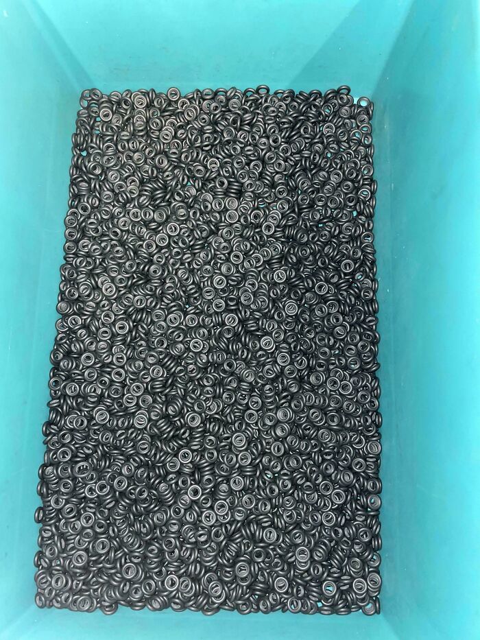 ‘When You See It’: 111 Perfectly Camouflaged Things That Might Take You Ages To Find (New Pics) ‘When You See It’: 111 Perfectly Camouflaged Things That Might Take You Ages To Find (New Pics)