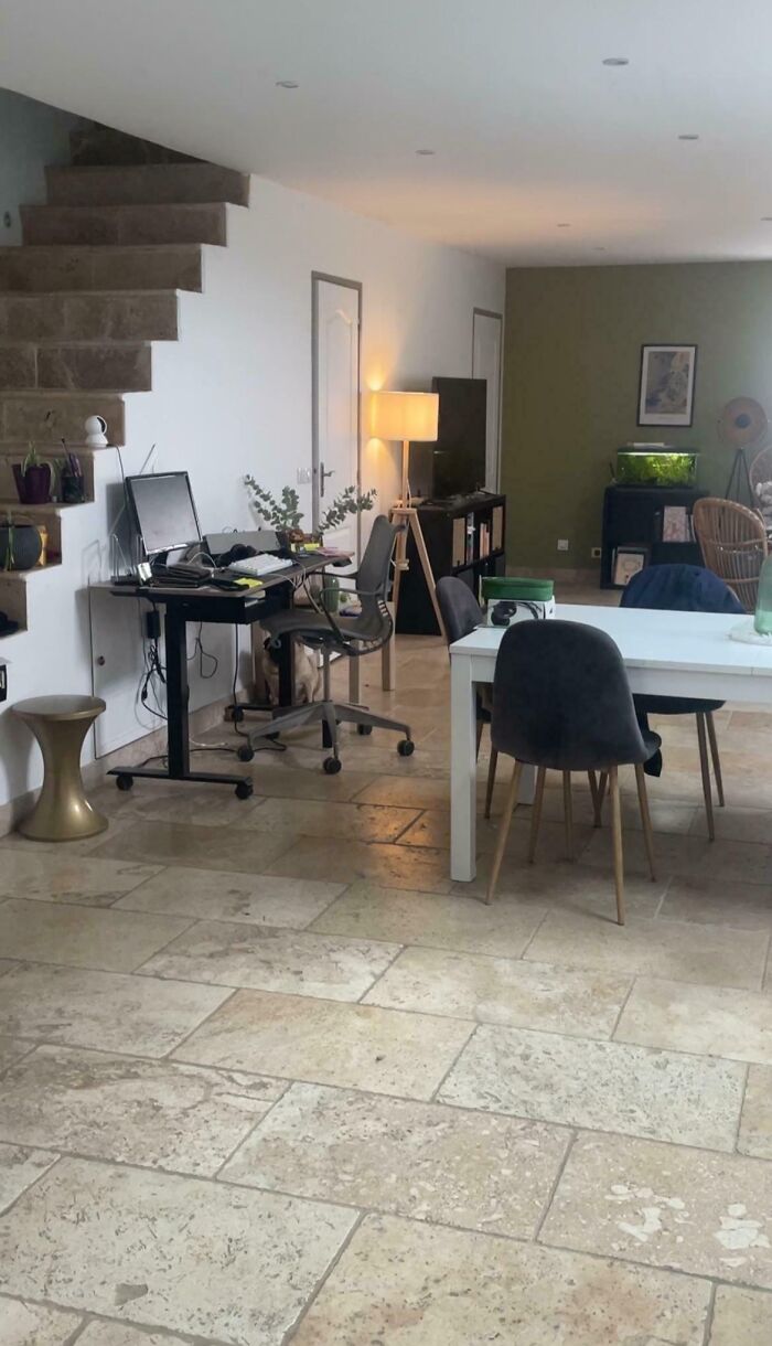 ‘When You See It’: 111 Perfectly Camouflaged Things That Might Take You Ages To Find (New Pics) ‘When You See It’: 111 Perfectly Camouflaged Things That Might Take You Ages To Find (New Pics)