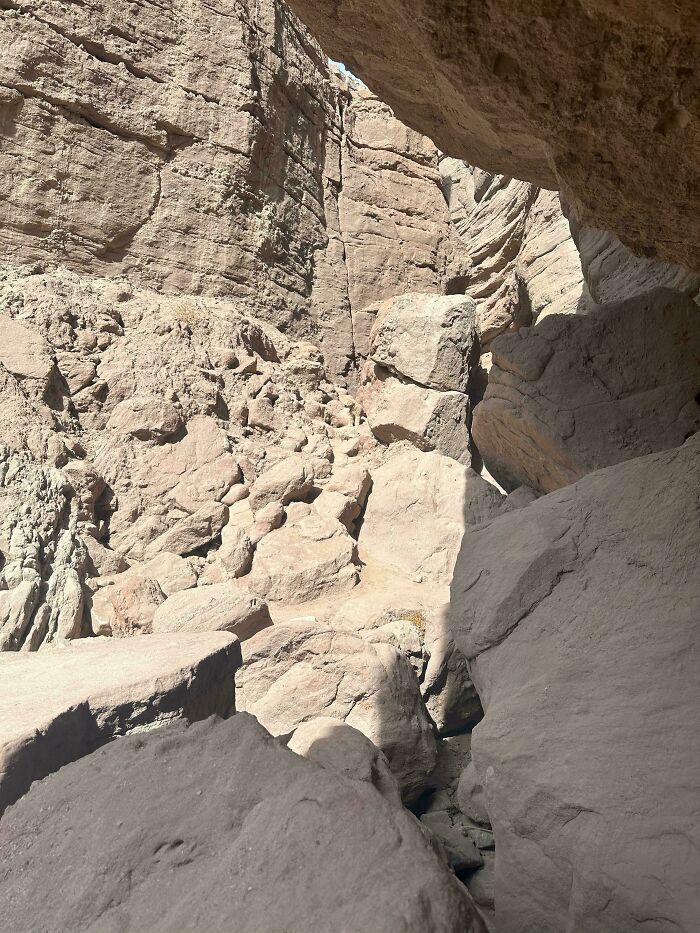 ‘When You See It’: 111 Perfectly Camouflaged Things That Might Take You Ages To Find (New Pics) ‘When You See It’: 111 Perfectly Camouflaged Things That Might Take You Ages To Find (New Pics)