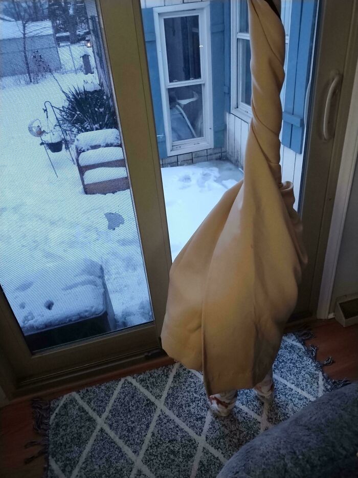 ‘When You See It’: 111 Perfectly Camouflaged Things That Might Take You Ages To Find (New Pics) ‘When You See It’: 111 Perfectly Camouflaged Things That Might Take You Ages To Find (New Pics)