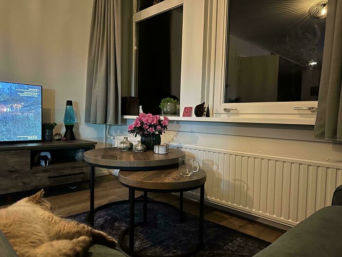 ‘When You See It’: 111 Perfectly Camouflaged Things That Might Take You Ages To Find (New Pics) ‘When You See It’: 111 Perfectly Camouflaged Things That Might Take You Ages To Find (New Pics)