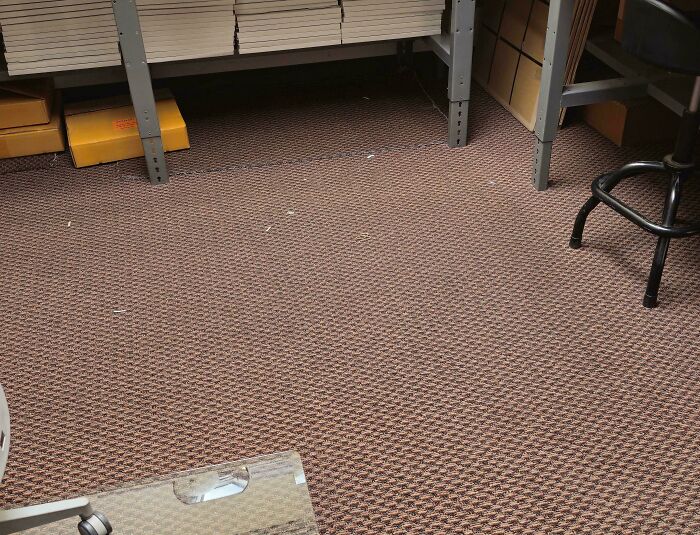 ‘When You See It’: 111 Perfectly Camouflaged Things That Might Take You Ages To Find (New Pics) ‘When You See It’: 111 Perfectly Camouflaged Things That Might Take You Ages To Find (New Pics)