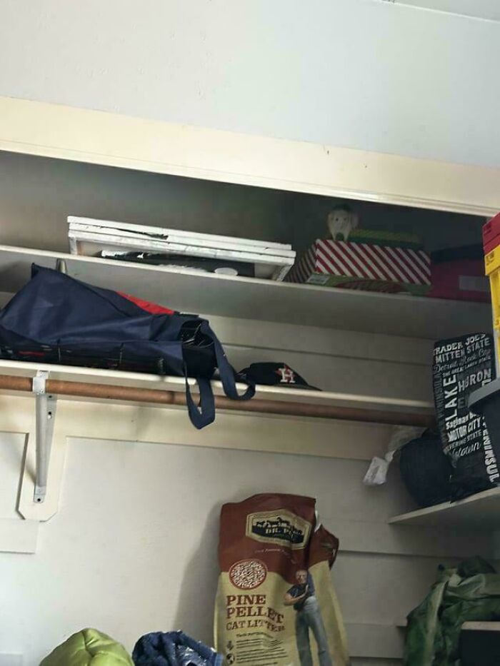 ‘When You See It’: 111 Perfectly Camouflaged Things That Might Take You Ages To Find (New Pics) ‘When You See It’: 111 Perfectly Camouflaged Things That Might Take You Ages To Find (New Pics)