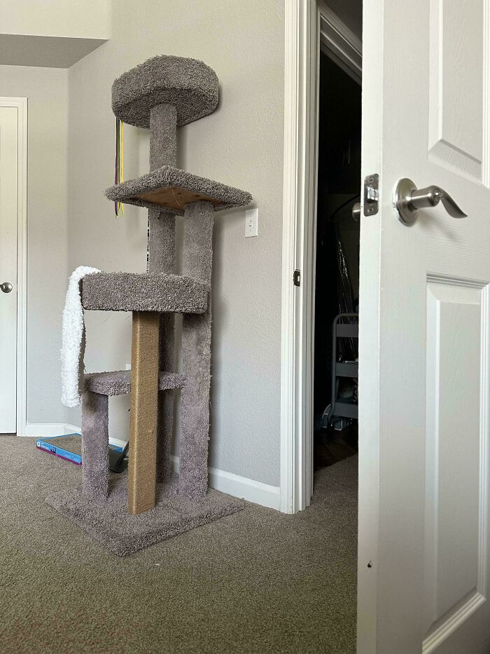 ‘When You See It’: 111 Perfectly Camouflaged Things That Might Take You Ages To Find (New Pics) ‘When You See It’: 111 Perfectly Camouflaged Things That Might Take You Ages To Find (New Pics)