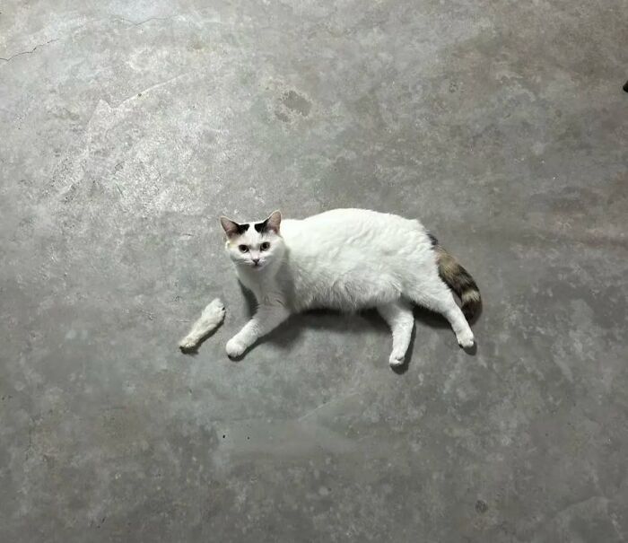 67 Photos That Might Make You Look Twice (New Pics) 67 Photos That Might Make You Look Twice (New Pics)