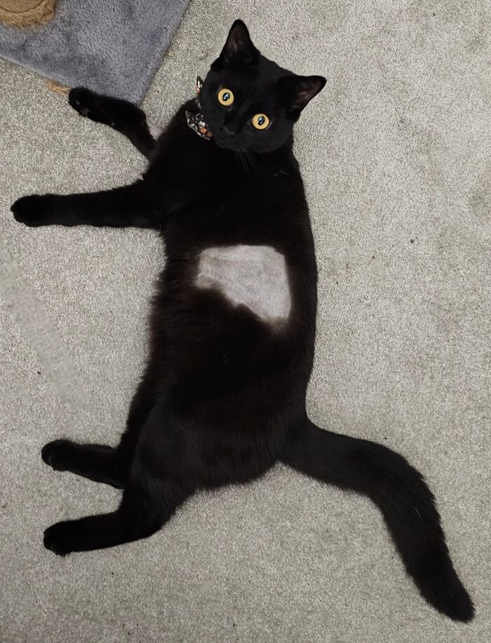 67 Photos That Might Make You Look Twice (New Pics) 67 Photos That Might Make You Look Twice (New Pics)