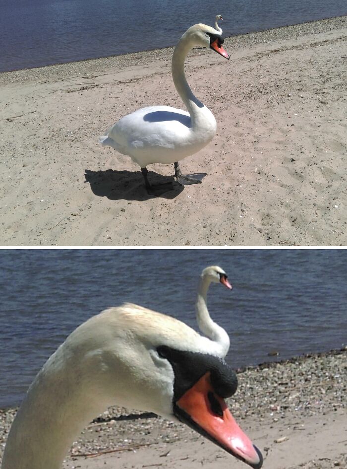 67 Photos That Might Make You Look Twice (New Pics) 67 Photos That Might Make You Look Twice (New Pics)