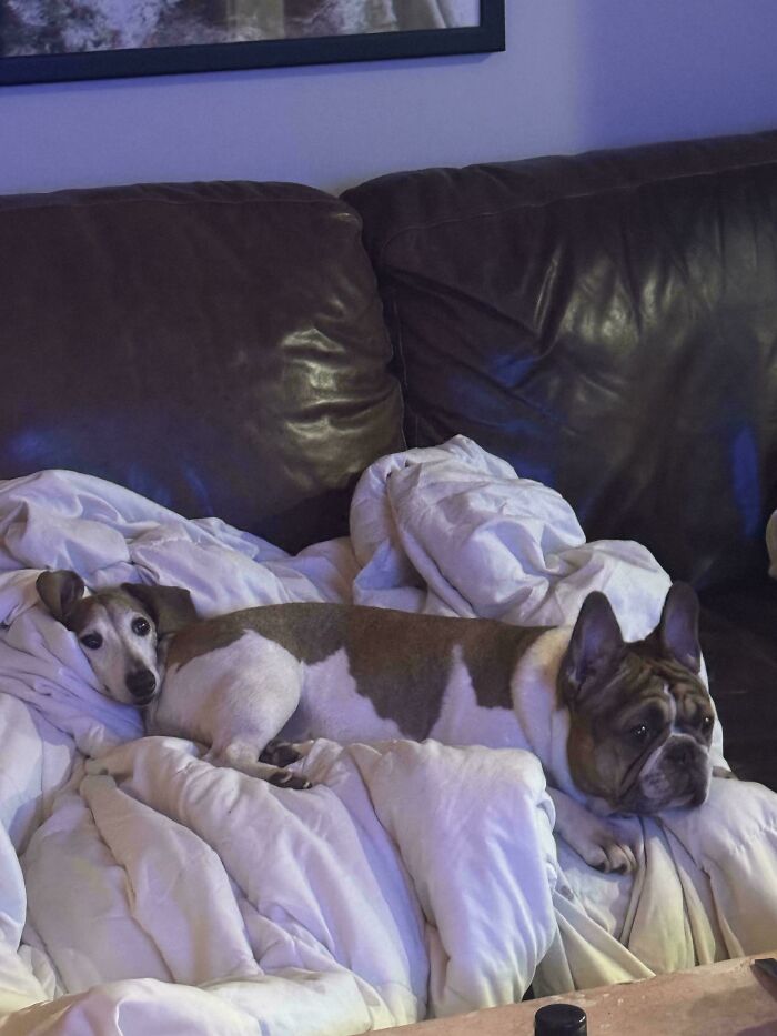 67 Photos That Might Make You Look Twice (New Pics) 67 Photos That Might Make You Look Twice (New Pics)