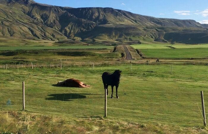 67 Photos That Might Make You Look Twice (New Pics) 67 Photos That Might Make You Look Twice (New Pics)