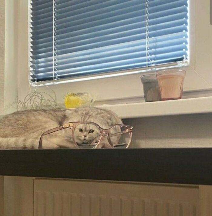 67 Photos That Might Make You Look Twice (New Pics) 67 Photos That Might Make You Look Twice (New Pics)