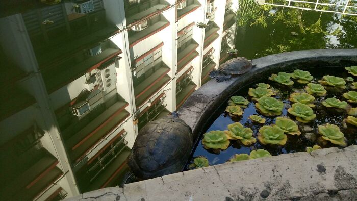 67 Photos That Might Make You Look Twice (New Pics) 67 Photos That Might Make You Look Twice (New Pics)