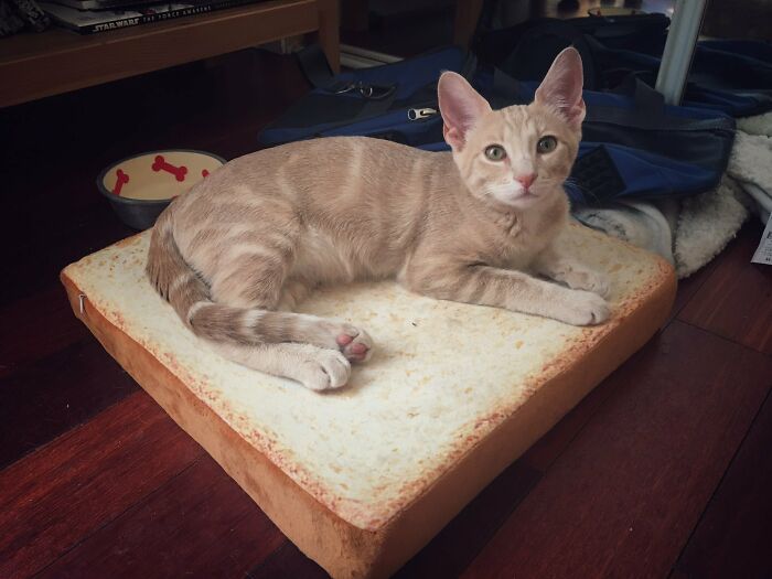 67 Photos That Might Make You Look Twice (New Pics) 67 Photos That Might Make You Look Twice (New Pics)