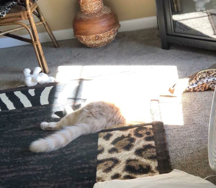 67 Photos That Might Make You Look Twice (New Pics) 67 Photos That Might Make You Look Twice (New Pics)