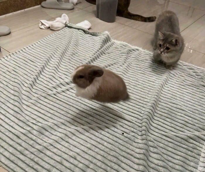 67 Photos That Might Make You Look Twice (New Pics) 67 Photos That Might Make You Look Twice (New Pics)