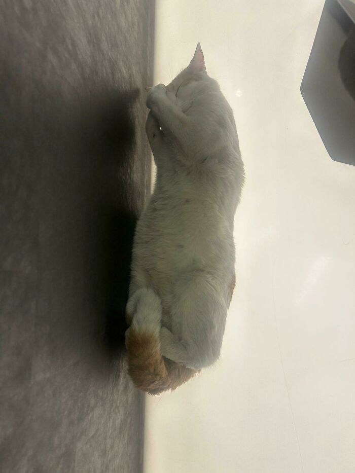 67 Photos That Might Make You Look Twice (New Pics) 67 Photos That Might Make You Look Twice (New Pics)