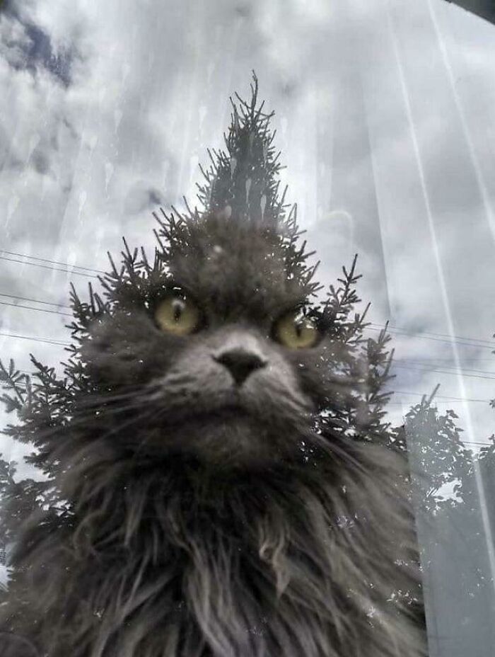 67 Photos That Might Make You Look Twice (New Pics) 67 Photos That Might Make You Look Twice (New Pics)