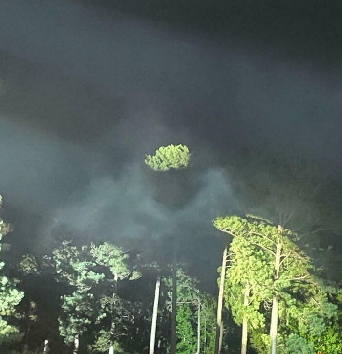 67 Photos That Might Make You Look Twice (New Pics) 67 Photos That Might Make You Look Twice (New Pics)