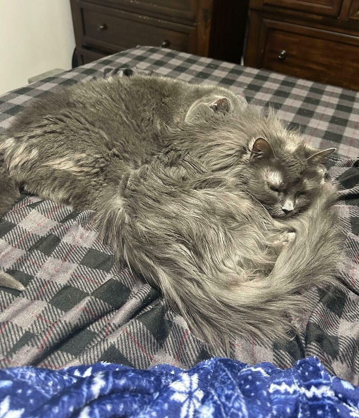 67 Photos That Might Make You Look Twice (New Pics) 67 Photos That Might Make You Look Twice (New Pics)