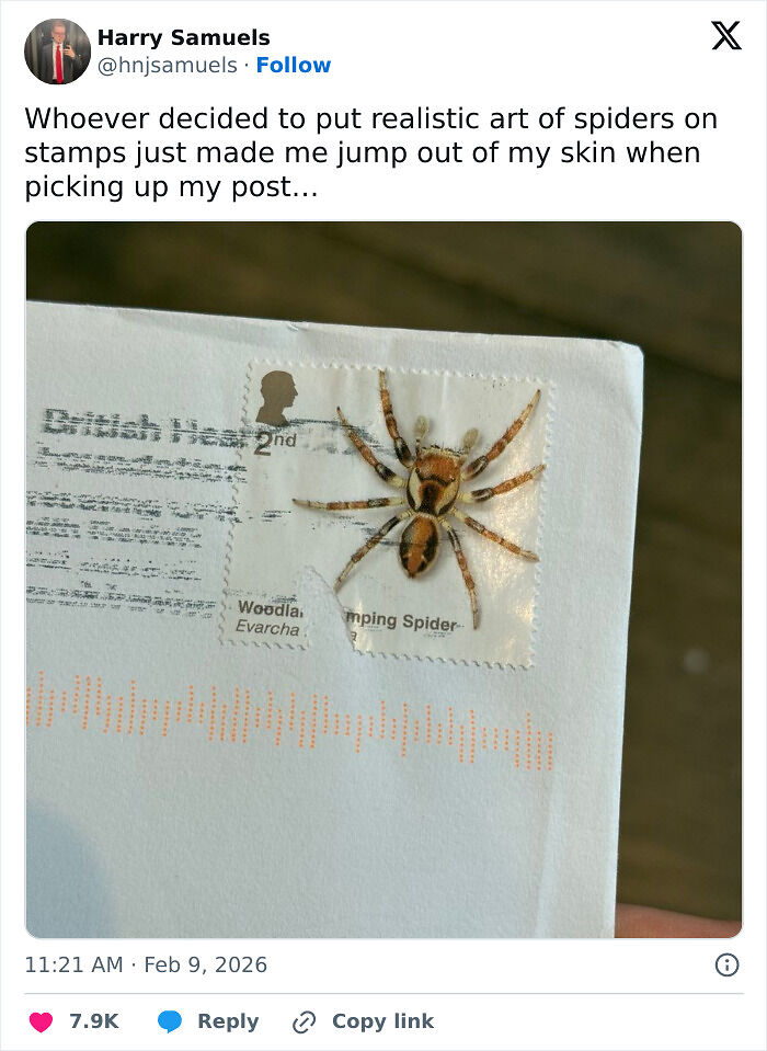 91 Chaotic And Hilarious X Posts From People Who Chose To Cope With Humor This February