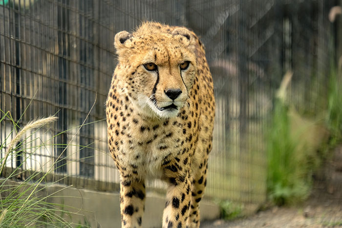 65 Times People Saw Karma Do Its Job In The Most Satisfying Ways