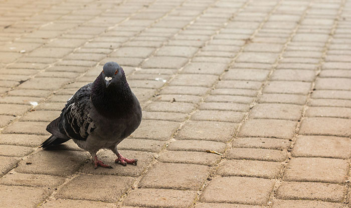 65 Times People Saw Karma Do Its Job In The Most Satisfying Ways