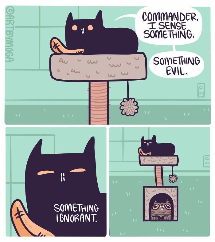 30 Honest And Relatable Comics By Meg Adams (New Pics) 30 Honest And Relatable Comics By Meg Adams (New Pics)