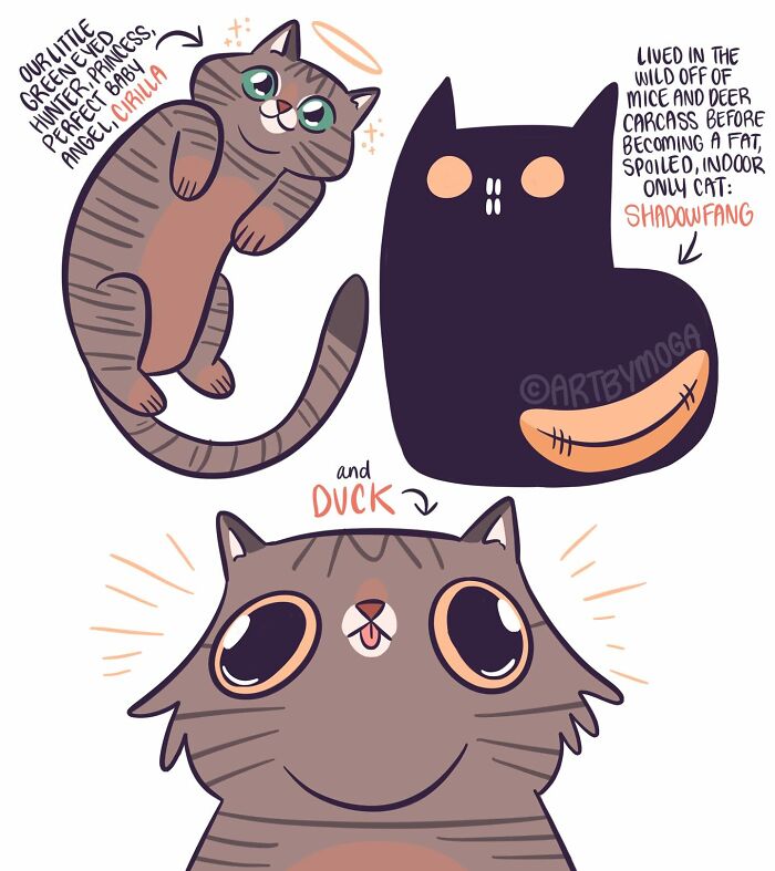 30 Honest And Relatable Comics By Meg Adams (New Pics) 30 Honest And Relatable Comics By Meg Adams (New Pics)