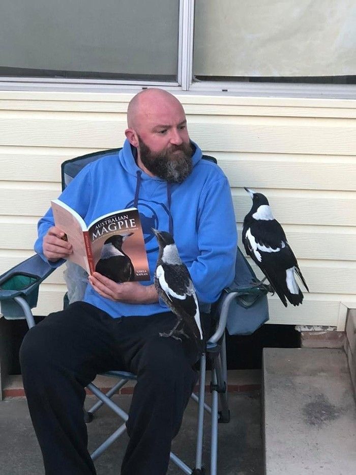 This Page Collects The Most Wholesome And Hilarious Animal Moments (60 Pics)