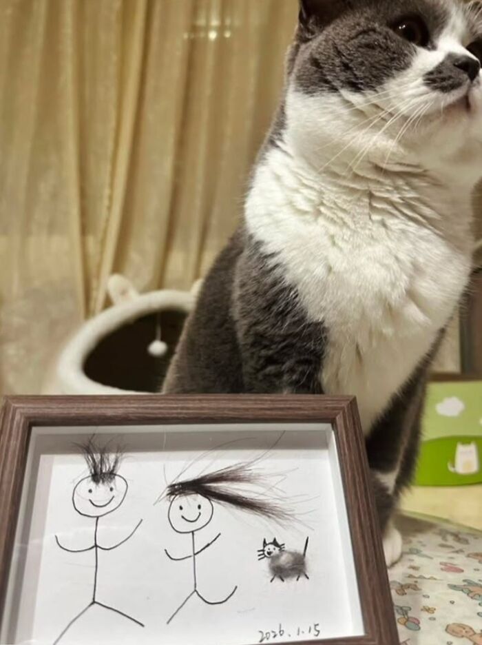 This Page Collects The Most Wholesome And Hilarious Animal Moments (60 Pics)