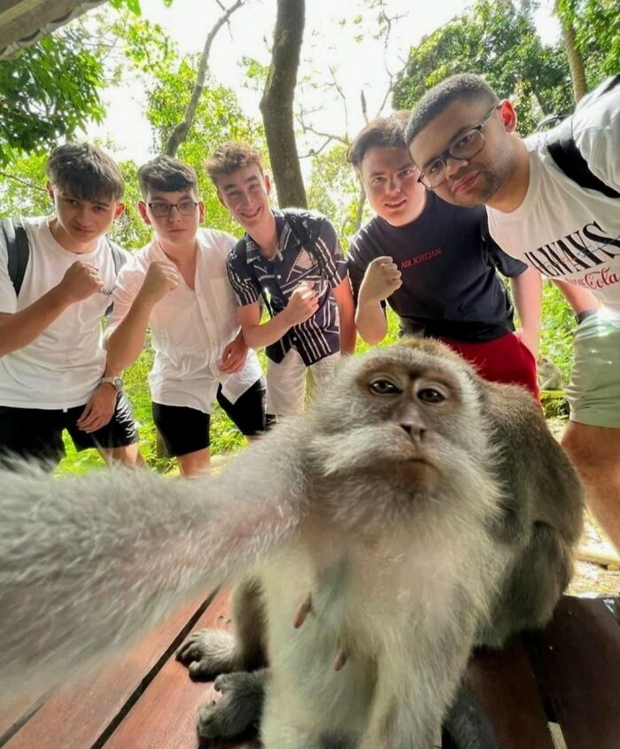 This Page Collects The Most Wholesome And Hilarious Animal Moments (60 Pics)