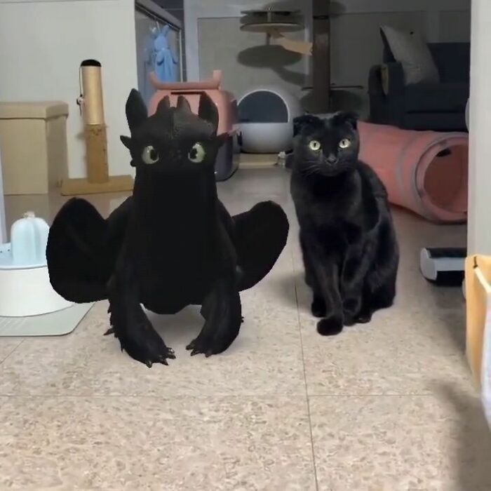 This Page Collects The Most Wholesome And Hilarious Animal Moments (60 Pics)