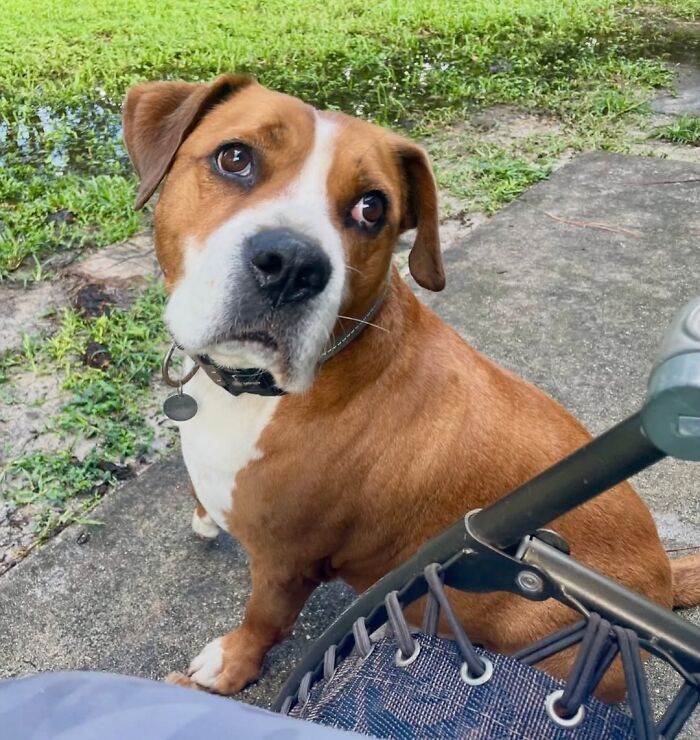 One Tiny Kitten Changed This Man&rsquo;s Life, And Now He Rescues Animals Full-Time