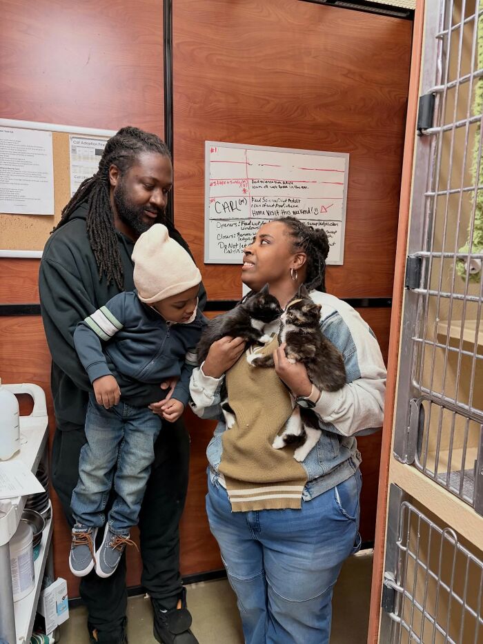 One Tiny Kitten Changed This Man&rsquo;s Life, And Now He Rescues Animals Full-Time