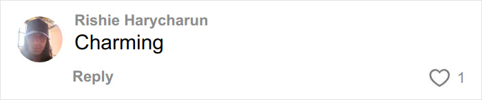 Priyanka Chopra Triggers Thirst Frenzy With A “Powerful” Sheer Dress Amid Film Promo