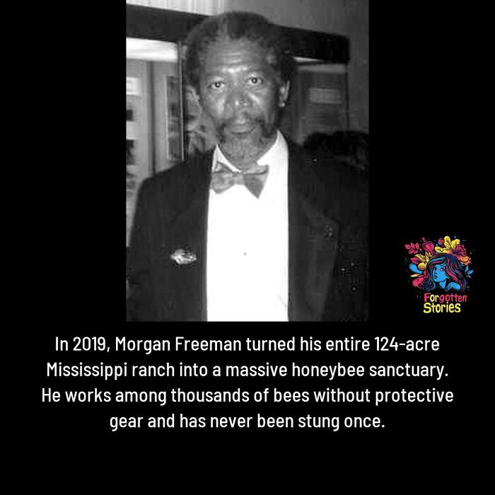 This Facebook Page Uncovers Forgotten Stories That Need More Attention, Here Are 75 Of The Best