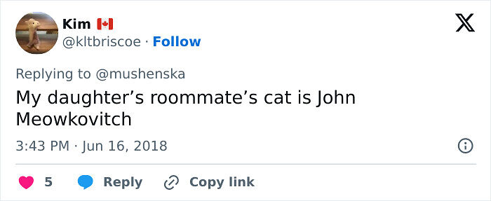 57 Ridiculous Pet Names People Just Had To Share 57 Ridiculous Pet Names People Just Had To Share