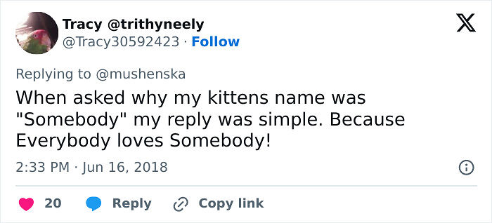 57 Ridiculous Pet Names People Just Had To Share 57 Ridiculous Pet Names People Just Had To Share